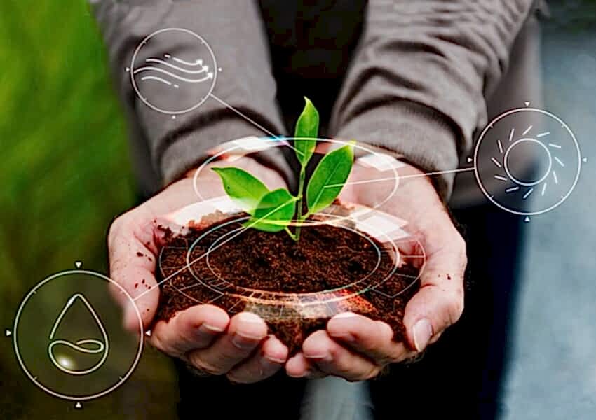 Yenilenebilir Enerji